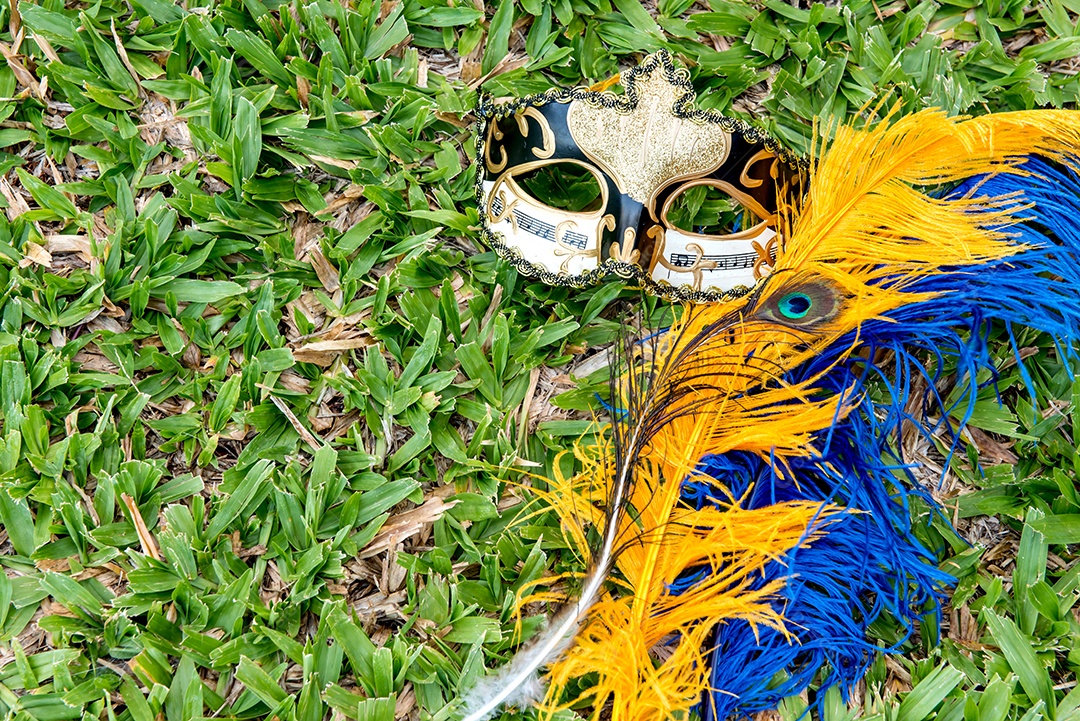 Máscara de carnaval e penas coloridas na grama