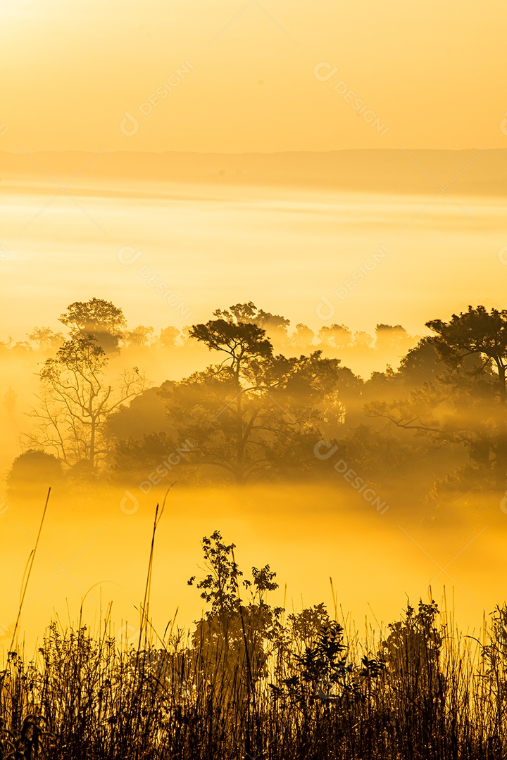 O sol sobre as montanhas e vastas pastagens