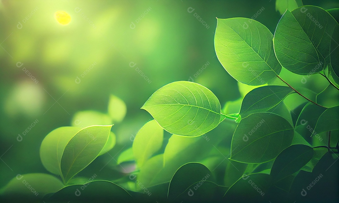 Fundo natural verde, fundo de vegetação