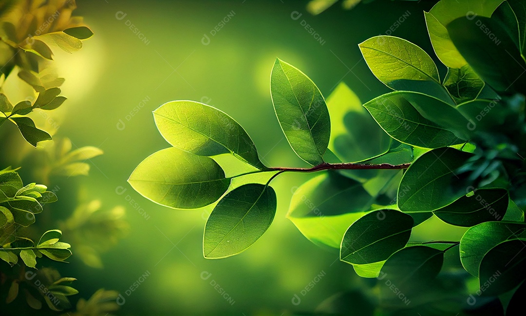 Fundo natural verde, fundo de vegetação