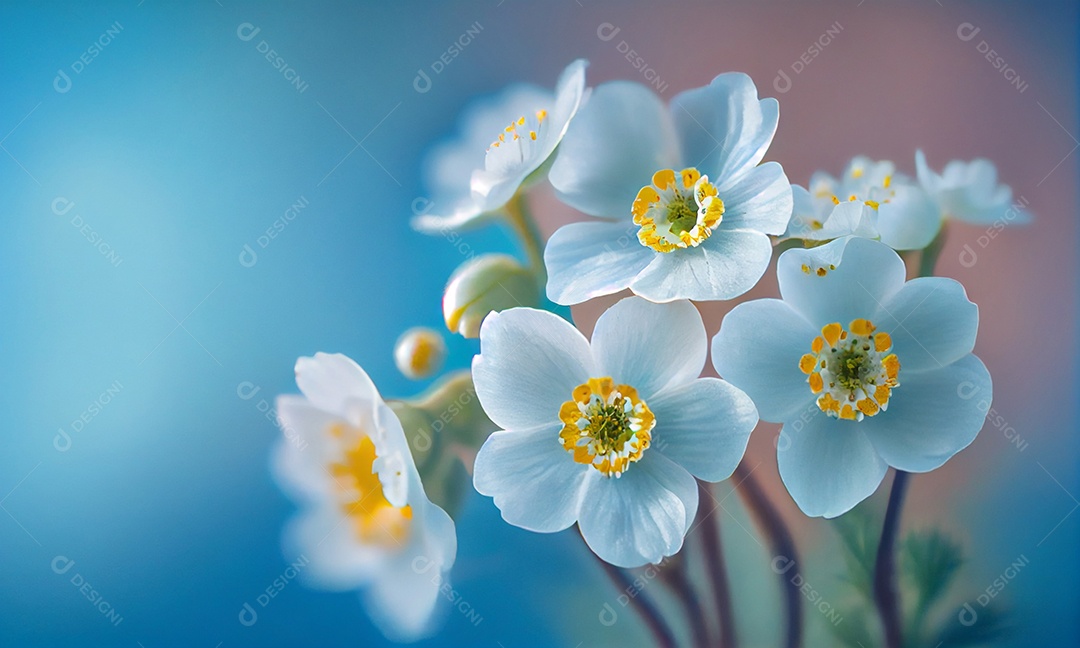 Ilustração de Belas flores de prímula