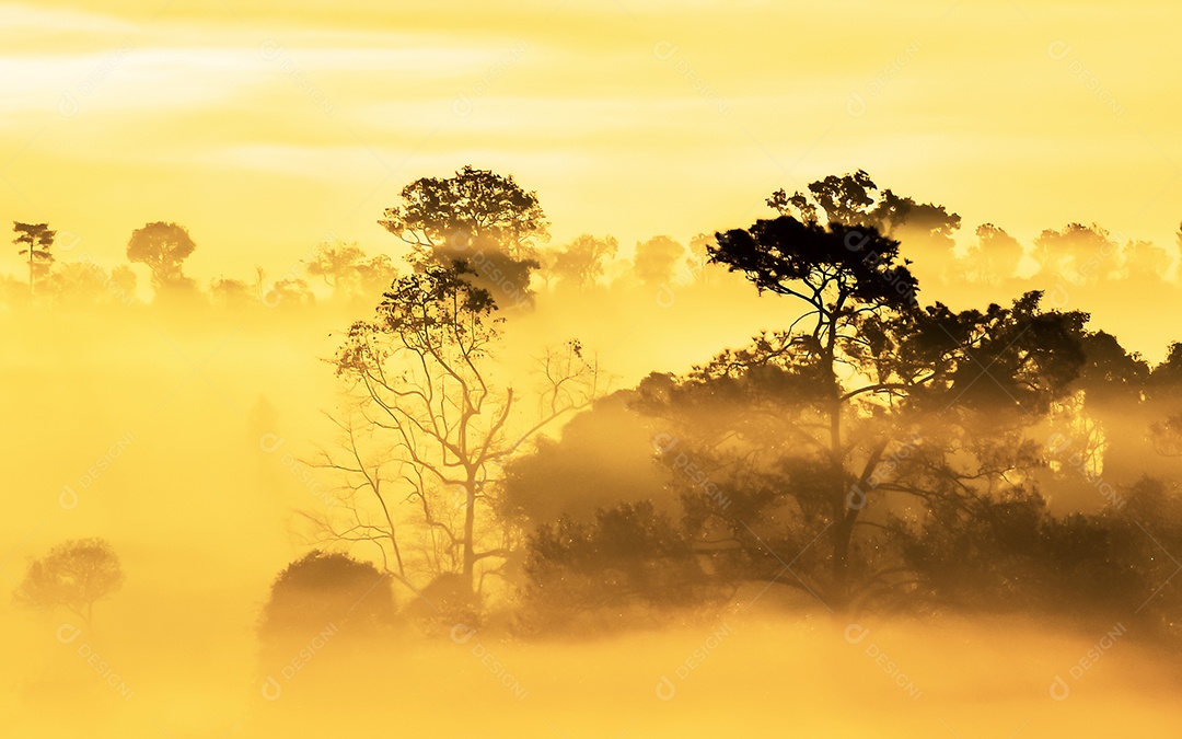 O sol sobre as montanhas e vastas pastagens província de phetchabun tailândia