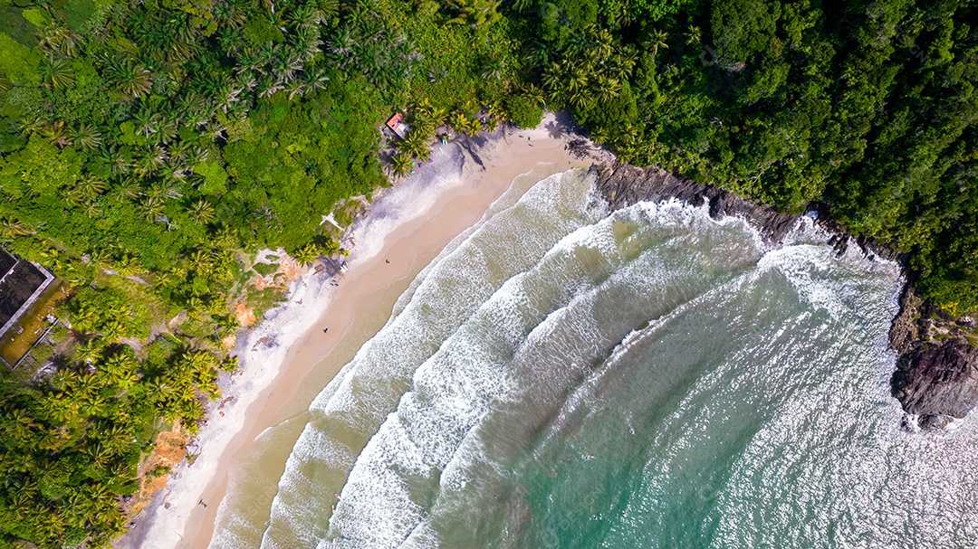 Vista aérea da paradisíaca praia de Itacarezinho, Itacaré, Bahia, Brasil. Local turístico com mar e vegetação. vista do topo.