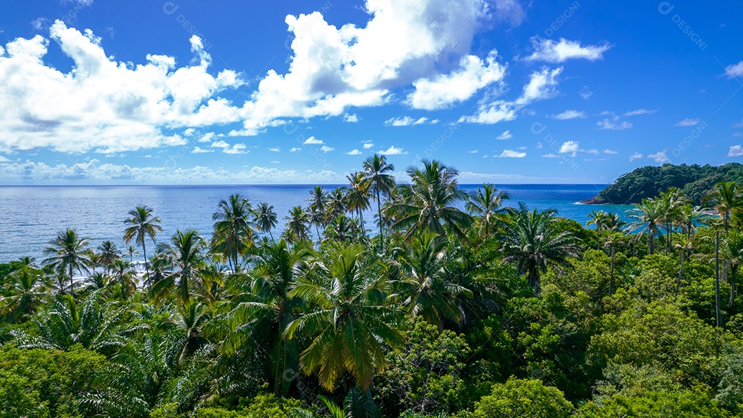 Vista aérea da praia de Itacaré, Bahia, Brasil. Lindos coqueiros e palmeiras com a praia ao fundo.