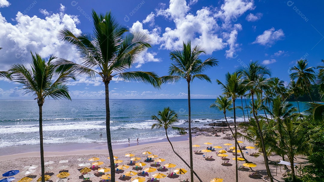 Vista aérea da praia de Itacaré, Bahia, Brasil. Lindos coqueiros e palmeiras com a praia ao fundo