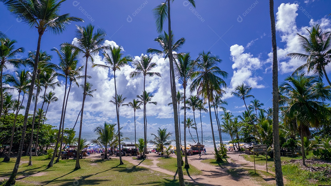 Vista aérea da praia de Itacaré, Bahia, Brasil. Lindos coqueiros e palmeiras com a praia ao fundo