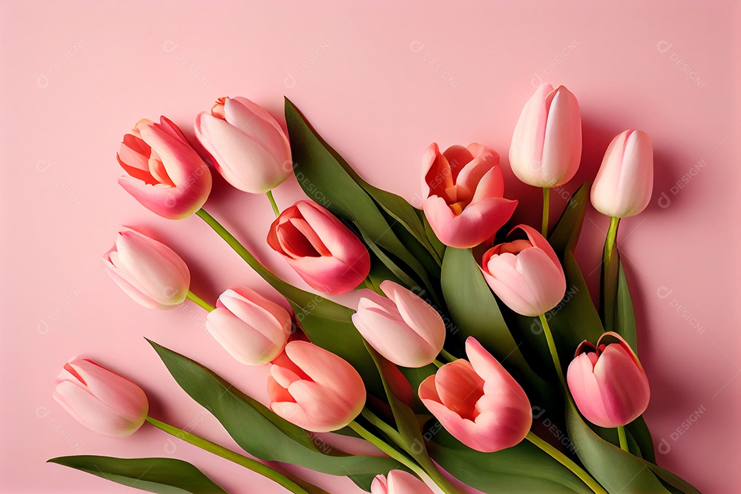 Fundo com belas flores rosas