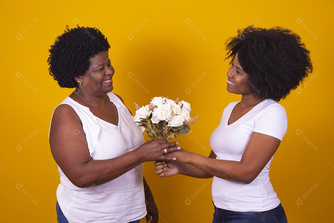Lindas mulheres jovens sobre fundo isolado