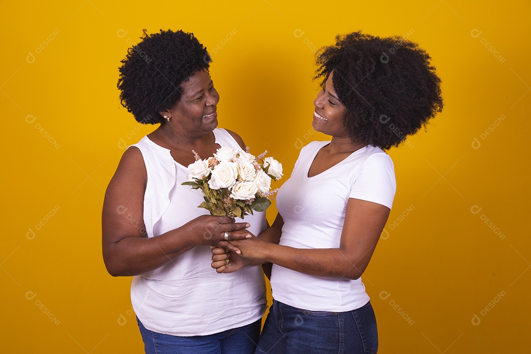 Lindas mulheres jovens sobre fundo isolado