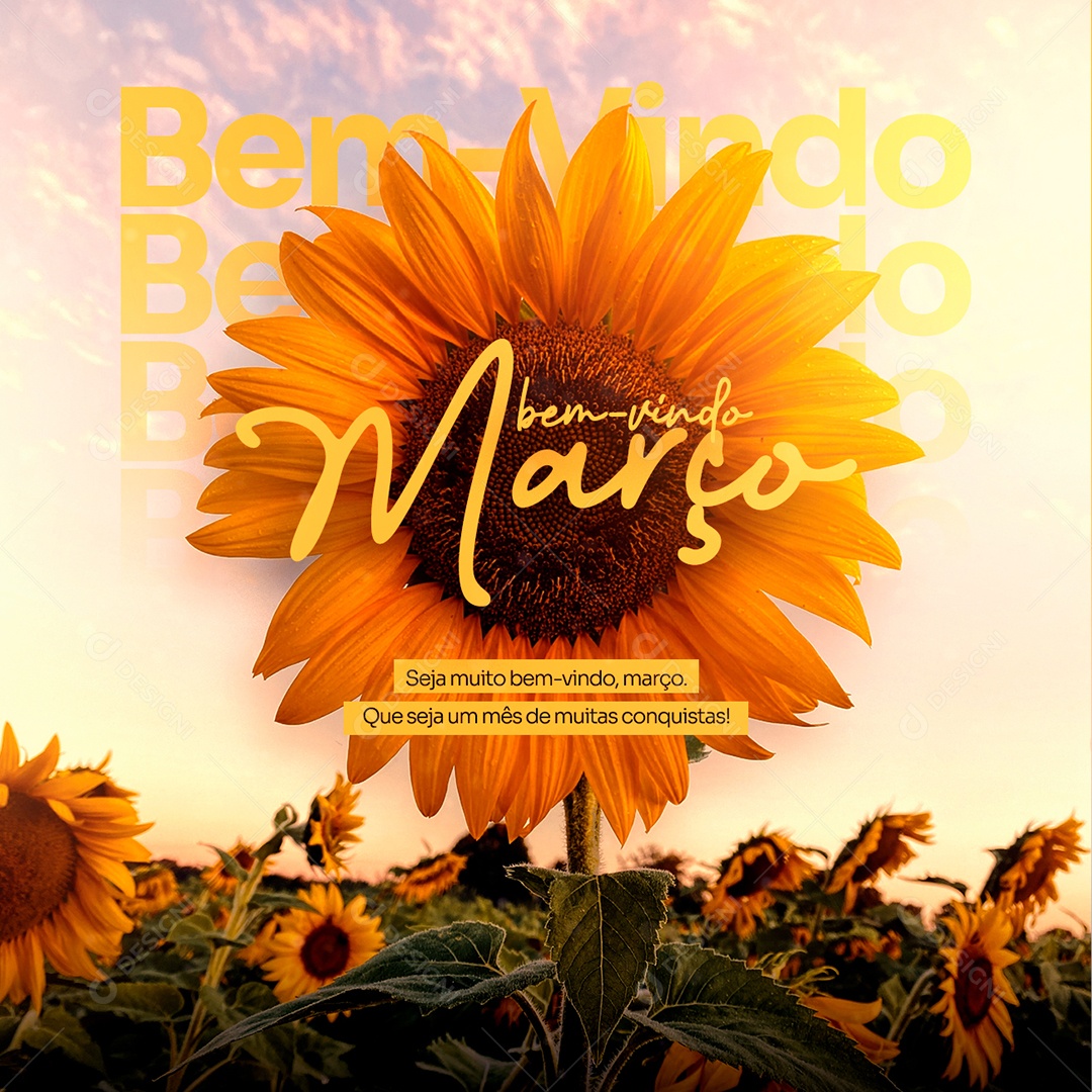 Seja Muito Bem Vindo Março Que Seja Um Mês De Muitas Conquistas Social Media PSD Editável