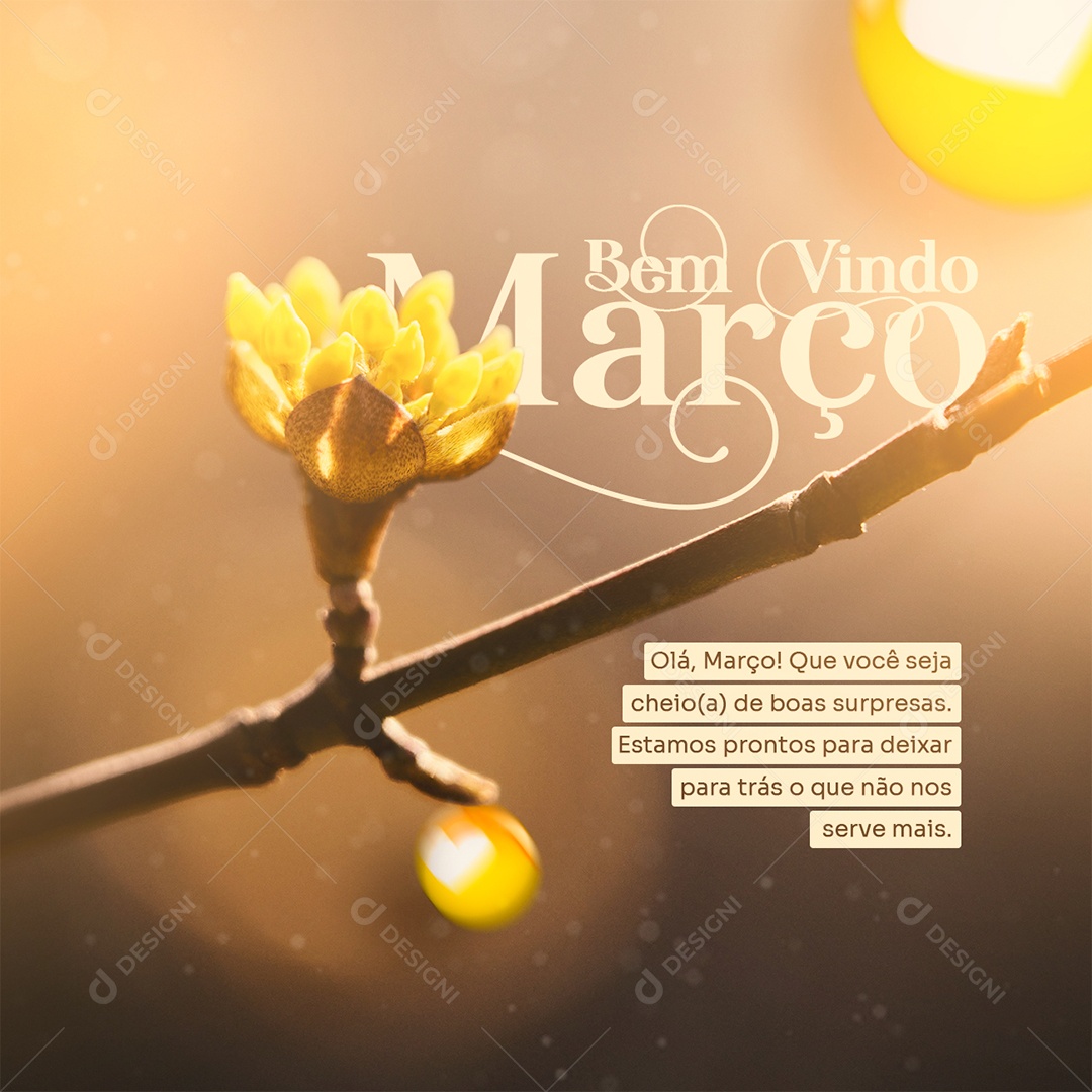 Olá Março Que Você Seja Cheiro De Boas Surpresas Bem Vindo Março Social Media PSD Editável