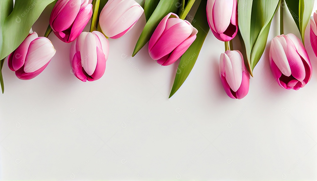 Background moldura de flores