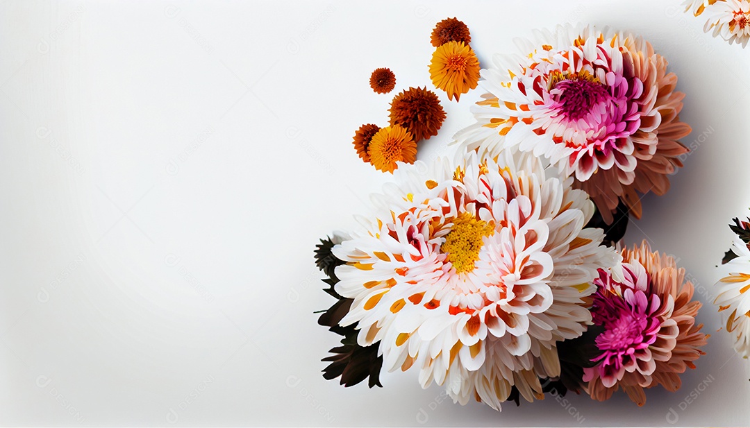 Background moldura de flores