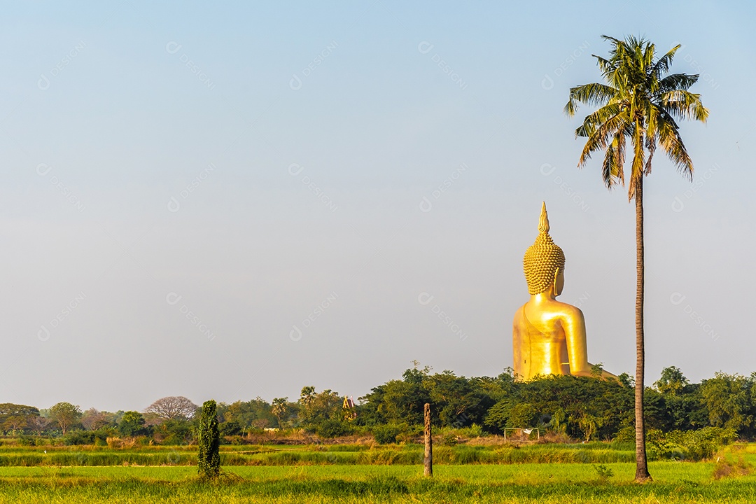 Grande Buda amarelo dourado em Wat Muang destino turístico religioso