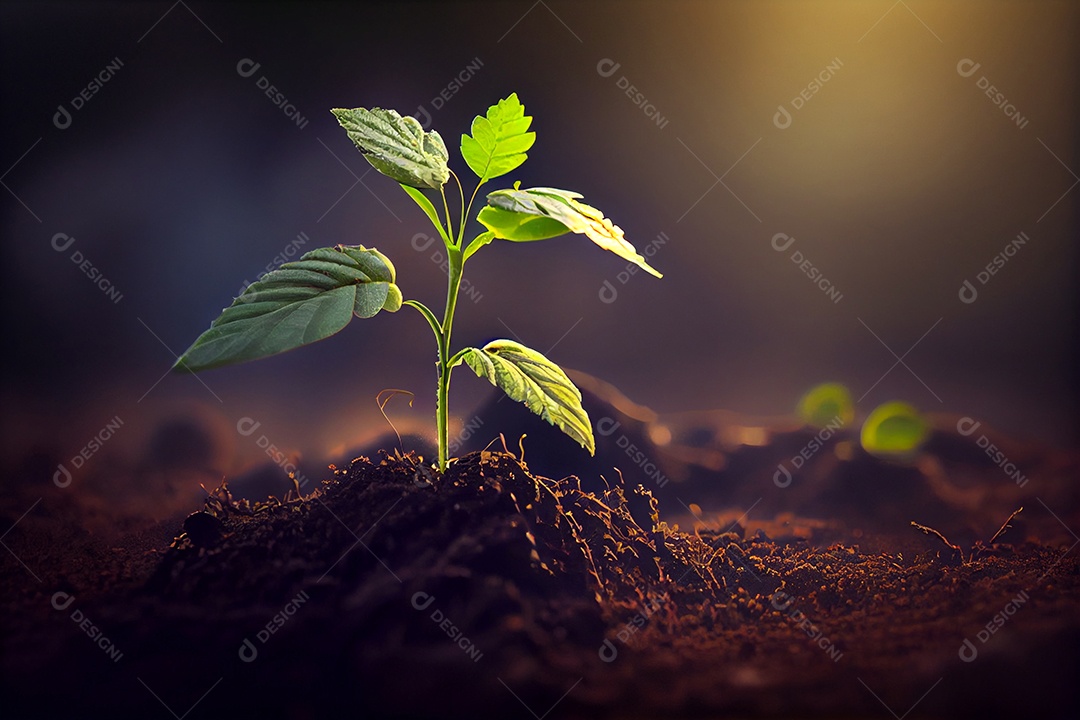 Pequena planta em desenvolvimento crescendo em solo
