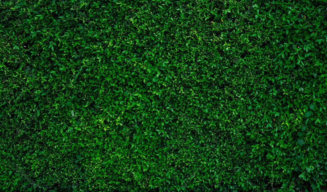 Pequenas folhas verdes em fundo de textura de parede de cobertura.