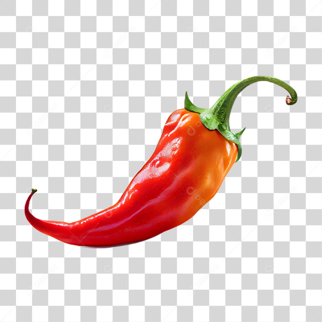 Fruto Pimenta PNG Transparente