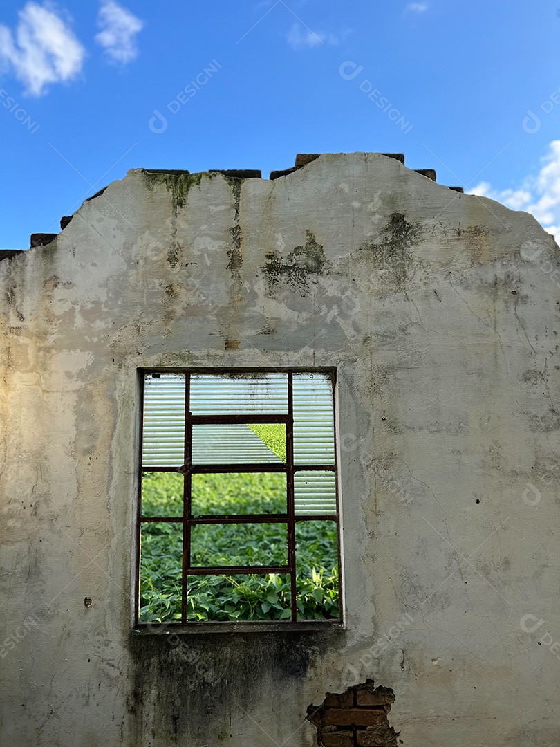 Casa abandonada em uma fazenda no Brasil. Janelas quebradas, com fundo de plantação de soja.