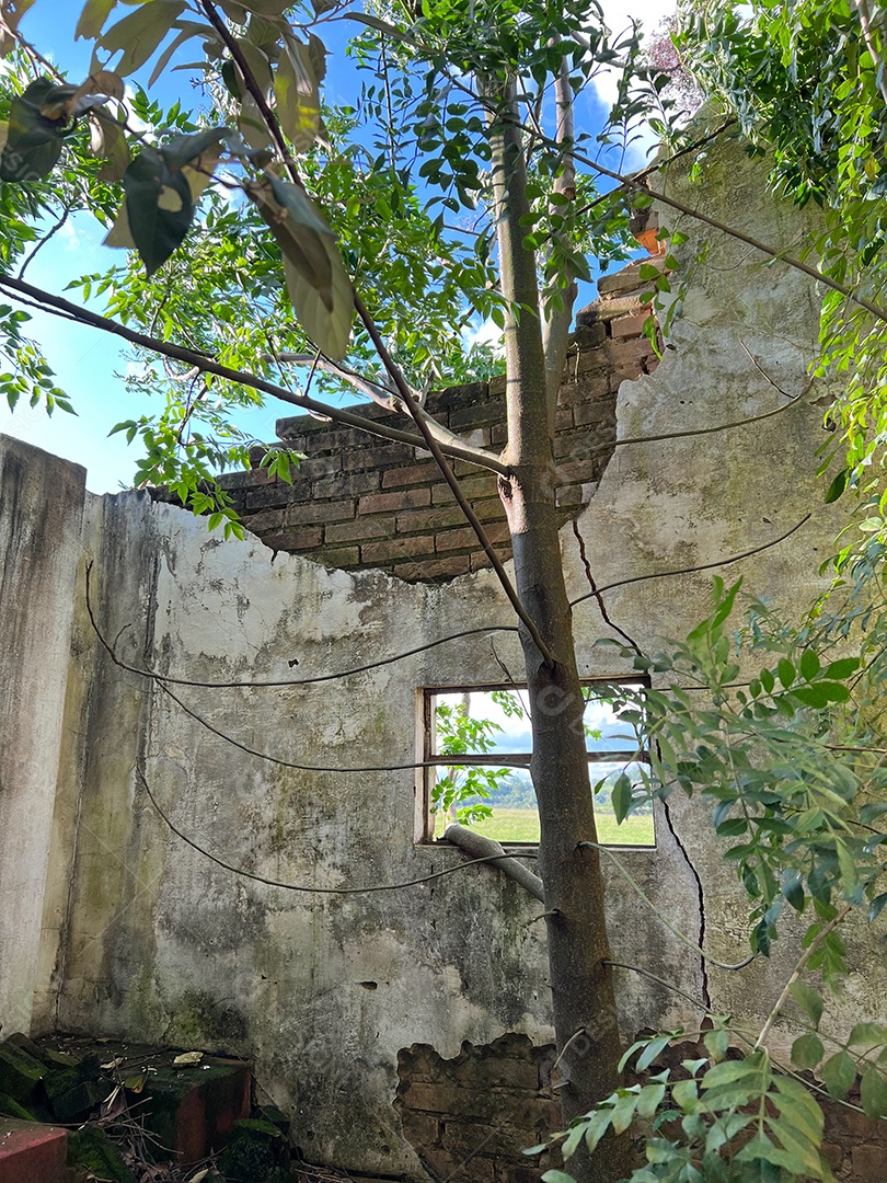 Casa abandonada em uma fazenda no Brasil. Janelas quebradas, com fundo de plantação de soja.