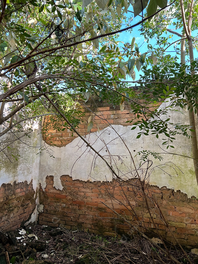 Casa abandonada em uma fazenda no Brasil. Janelas quebradas, com fundo de plantação de soja.