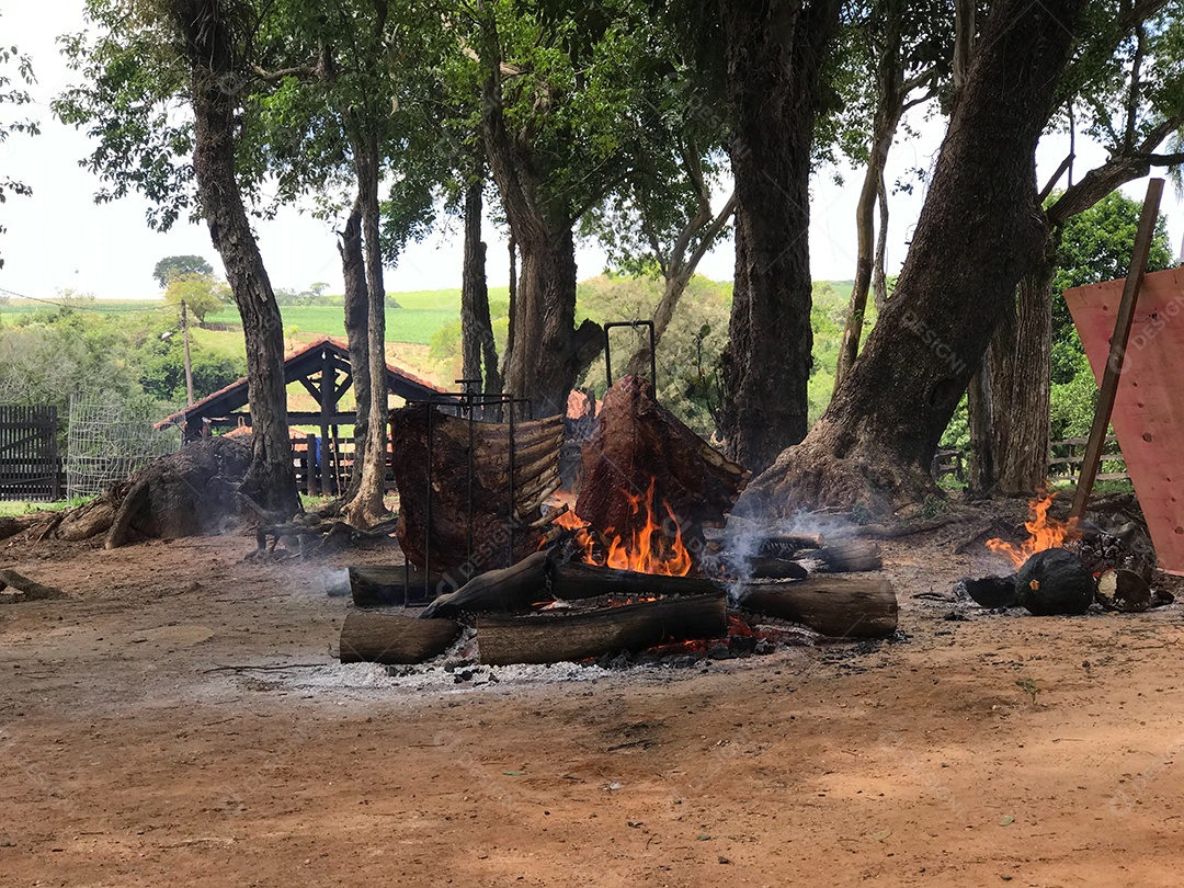 Costela de Chão. Churrasco tradicional brasileiro. Costela na brasa no campo.