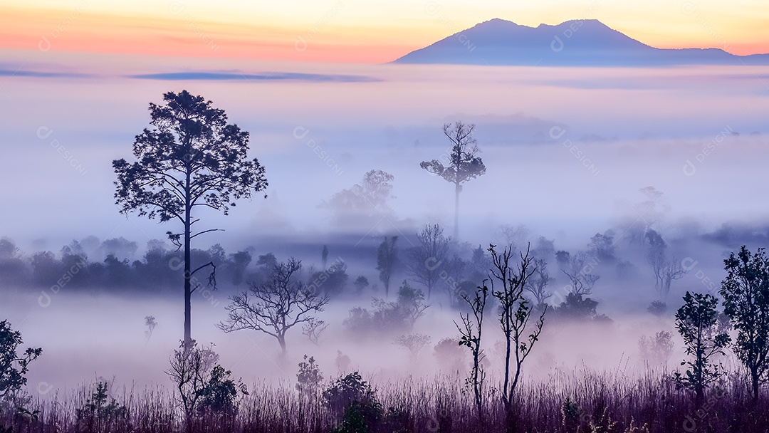 O sol sobre as montanhas e vastas pastagens província de phetchabun tailândia