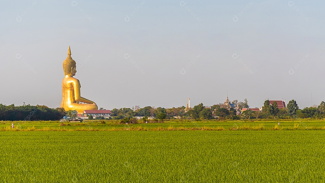 Grande Buda amarelo dourado em Wat Muang destino turístico religioso