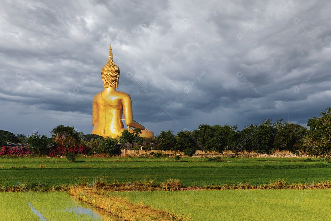 Grande Buda amarelo dourado em Wat Muang destino turístico religioso