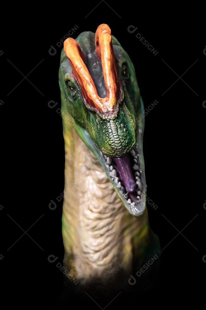 A cabeça de dinossauro em fundo preto