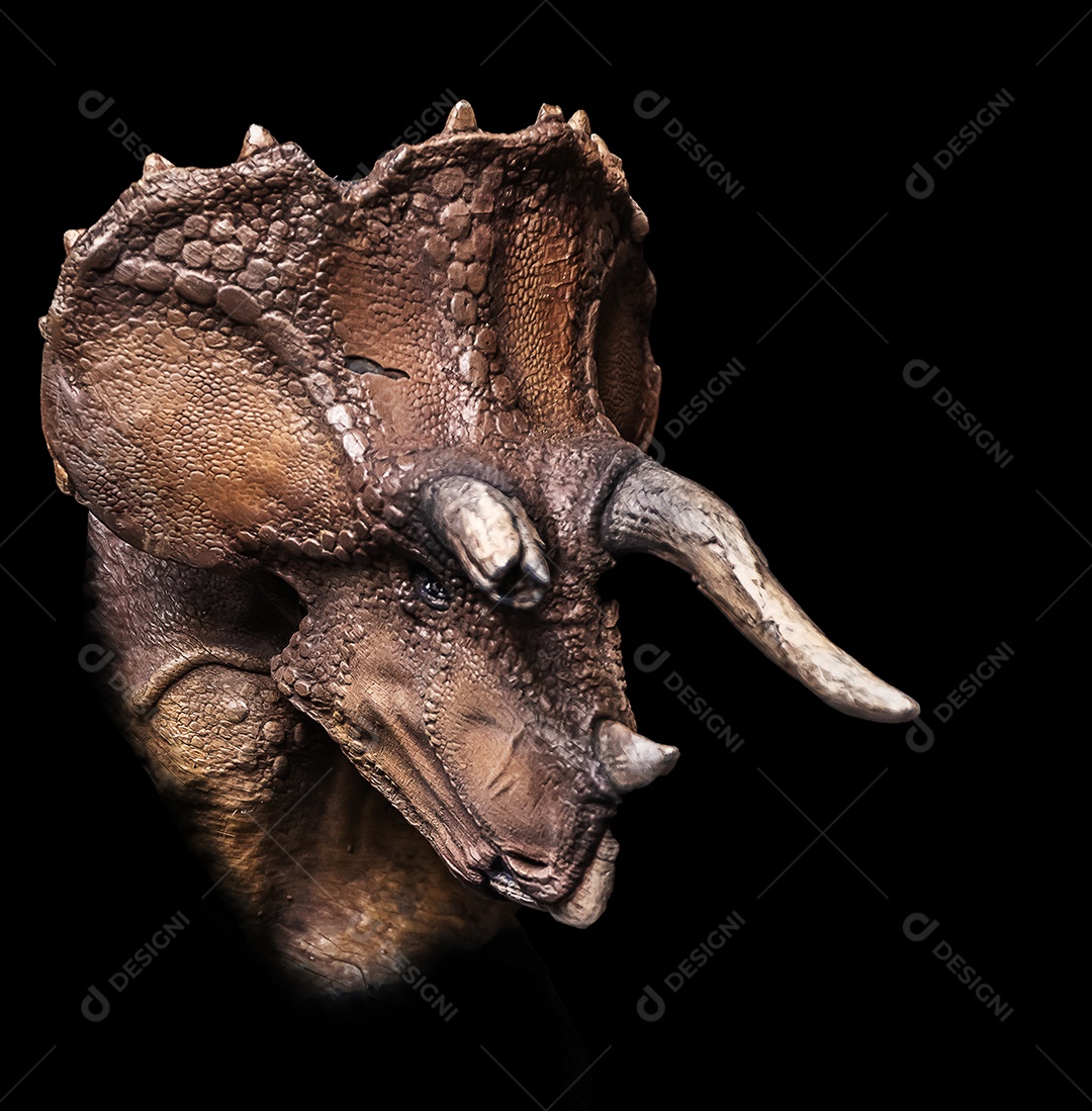 A cabeça de dinossauro em fundo preto