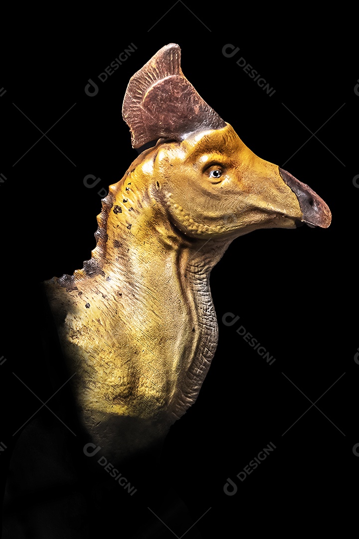 A cabeça de dinossauro em fundo preto