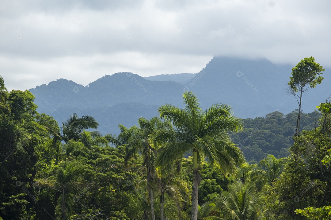 Serra entre nuvens de chuva, vista de Ubatuba.