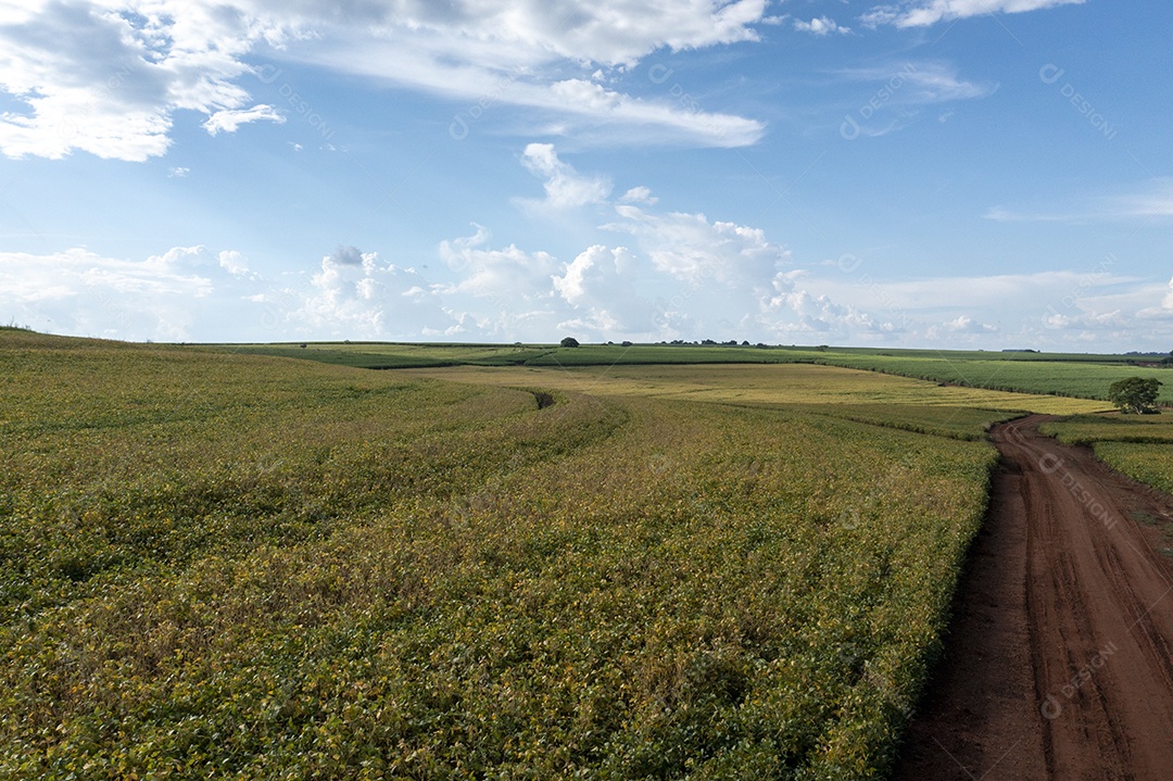 Vista aérea da área de plantação de cana-de-açúcar com montanhas ao fundo - Brasil.