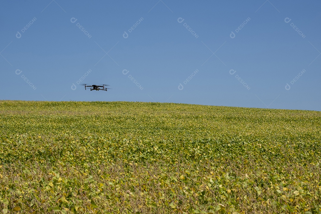 Drone voando sobre plantação de soja em dia ensolarado no Brasil.