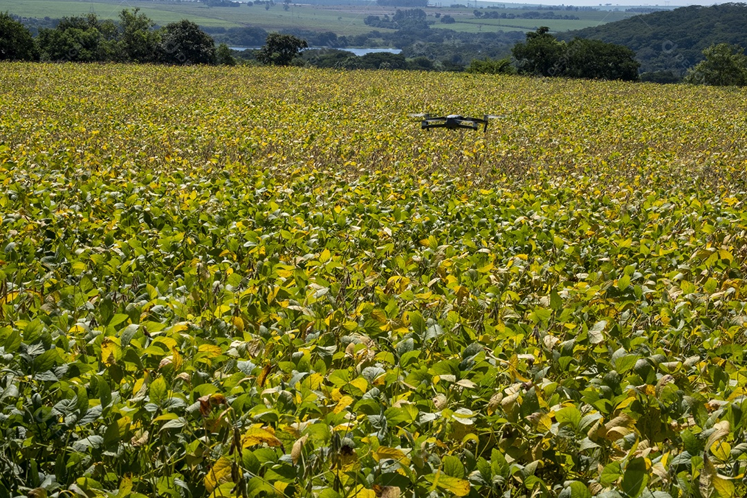 Drone voando sobre plantação de soja em dia ensolarado no Brasil.