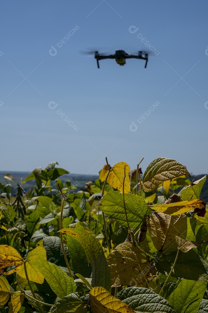 Drone voando sobre plantação de soja em dia ensolarado no Brasil.