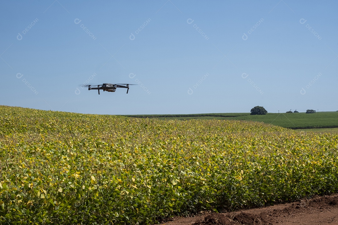 Mavic 2 pro voando sobre plantação de soja em uma manhã ensolarada