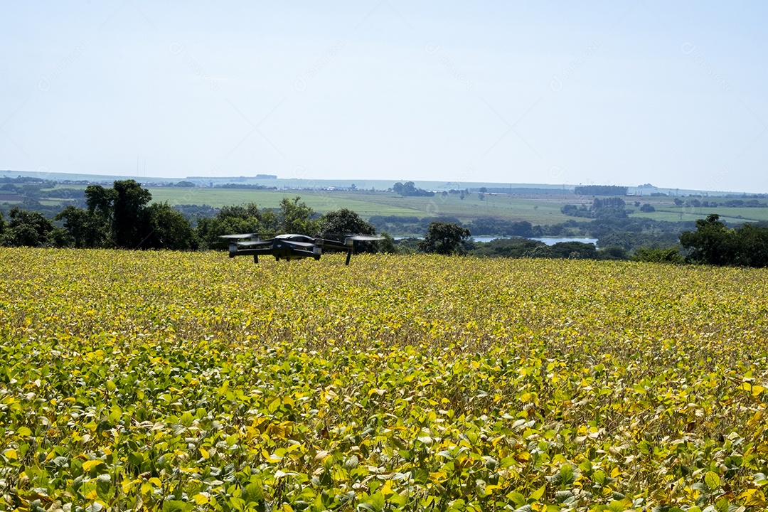 Mavic 2 pro voando sobre plantação de soja em uma manhã ensolarada