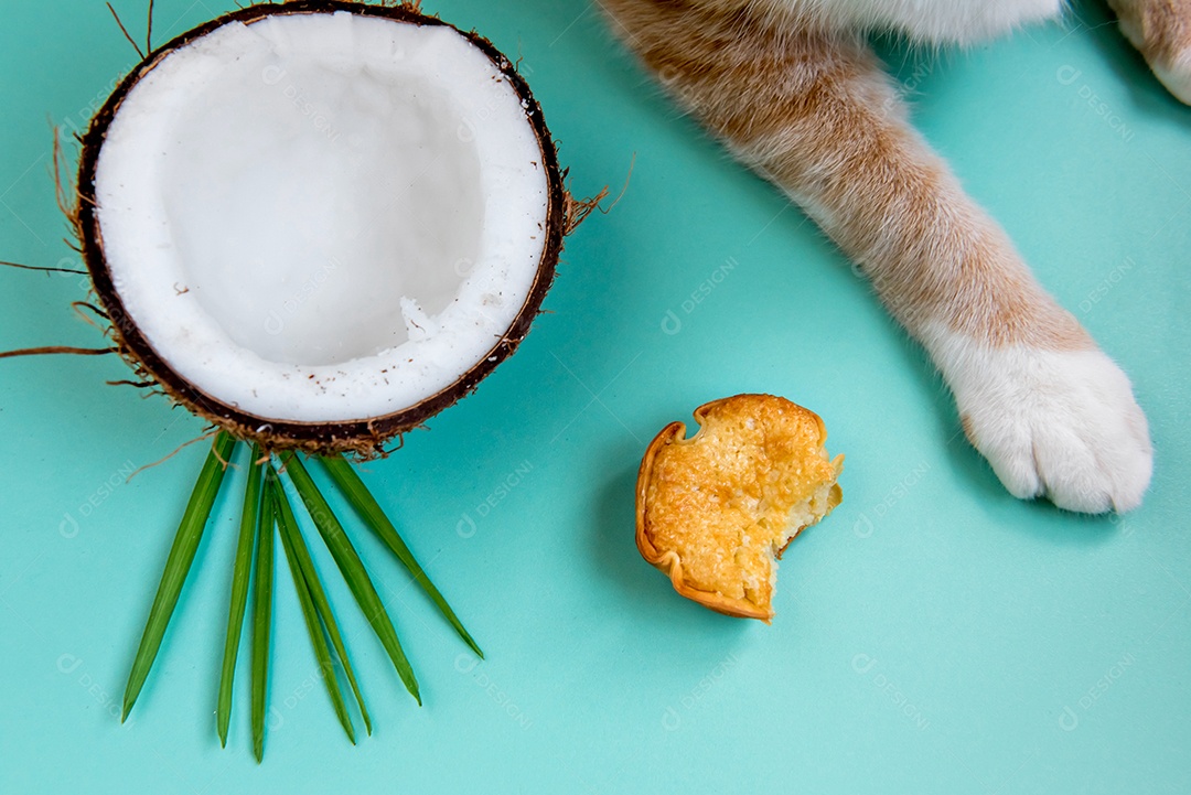 Coco e pata de gato amarelo sobre fundo verde