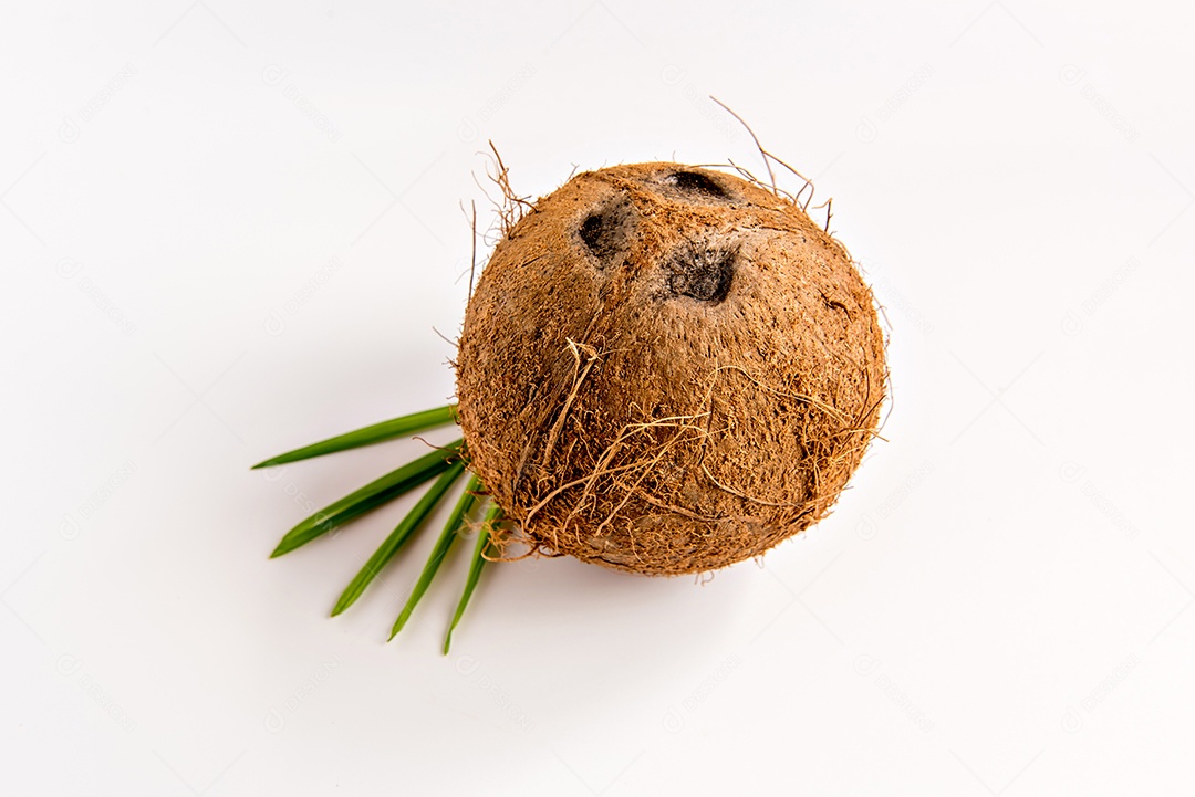 Coco e folhas no fundo branco