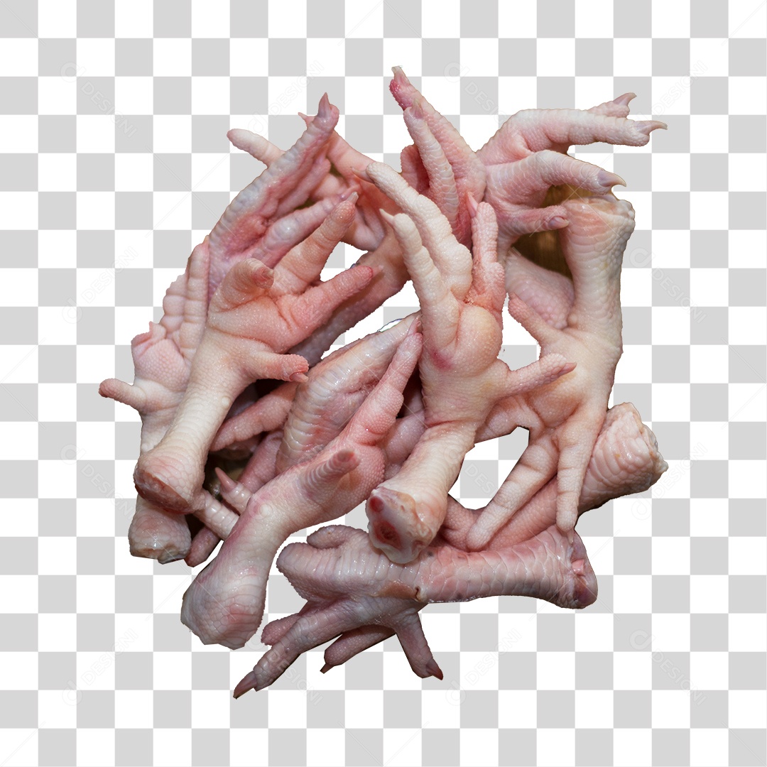 Pé de Galinha Visto de Cima PNG Transparente