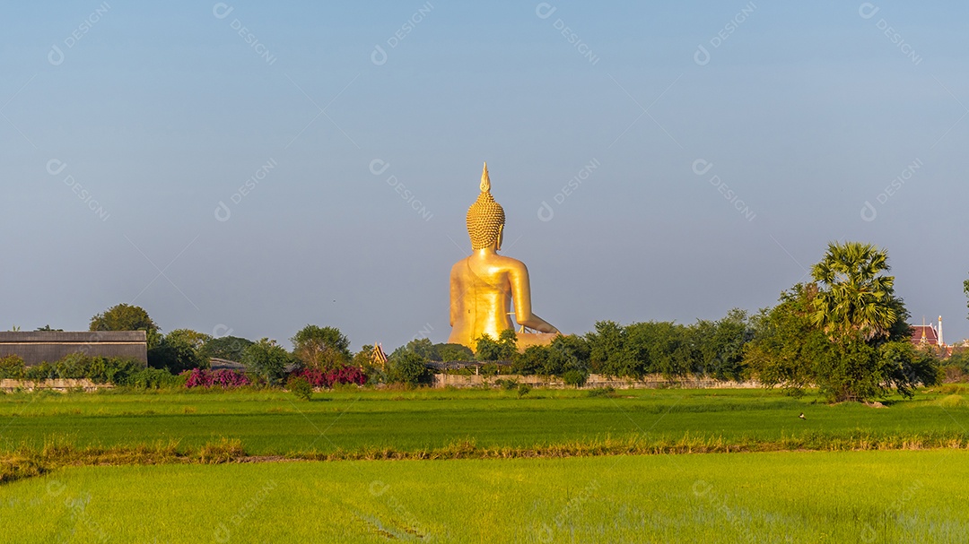Grande Buda amarelo dourado em Wat Muang destino turístico religioso