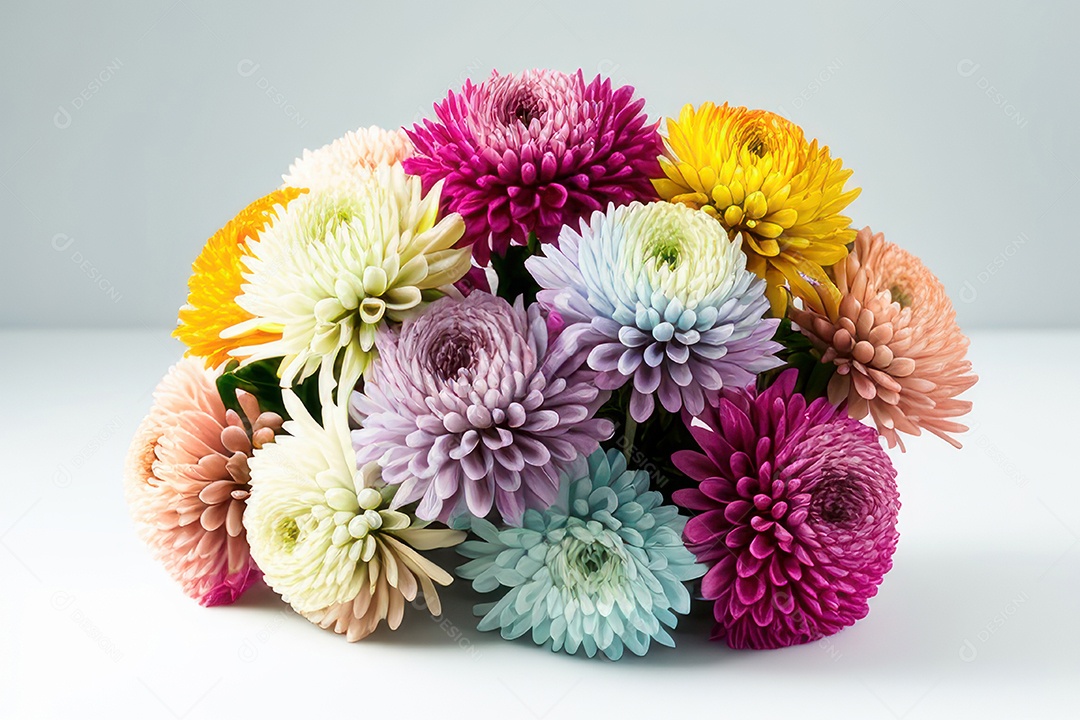 Flores coloridas sobre fundo isolado.