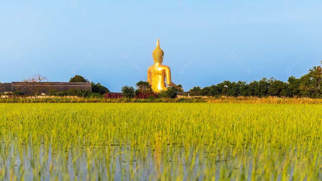 Grande Buda amarelo dourado em Wat Muang destino turístico religioso