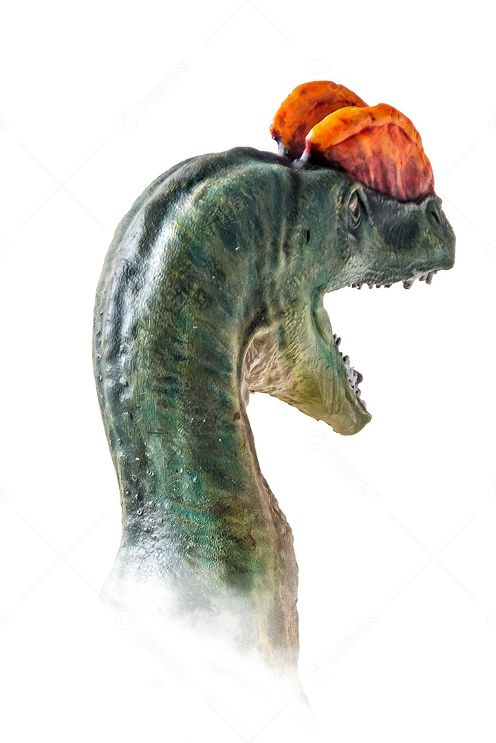 A cabeça de dinossauro em fundo branco