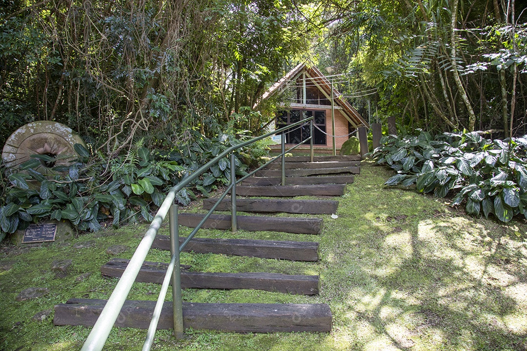 Escadas com corrimãos sobre floresta