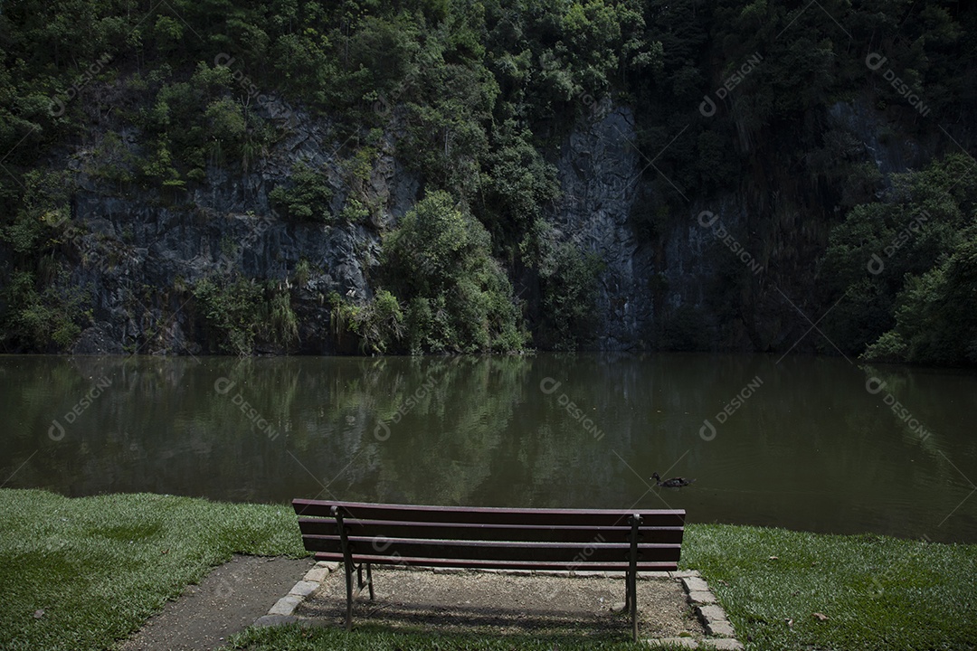 Lindo lago sobre parque