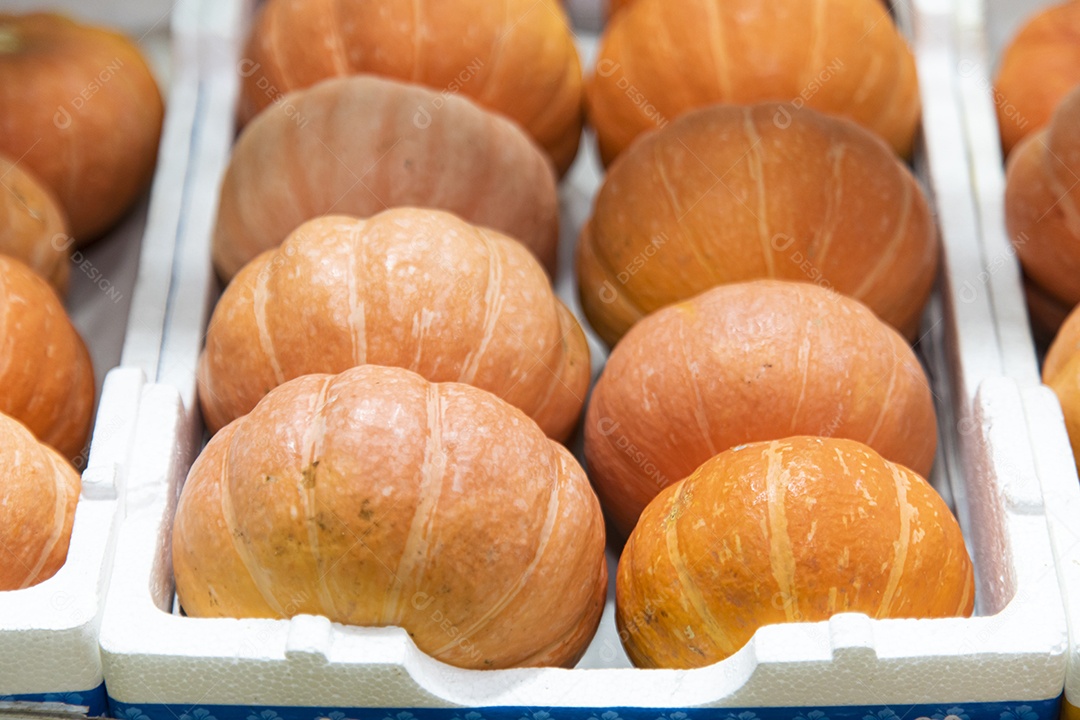 Abóbora sobre prateleira de mercado