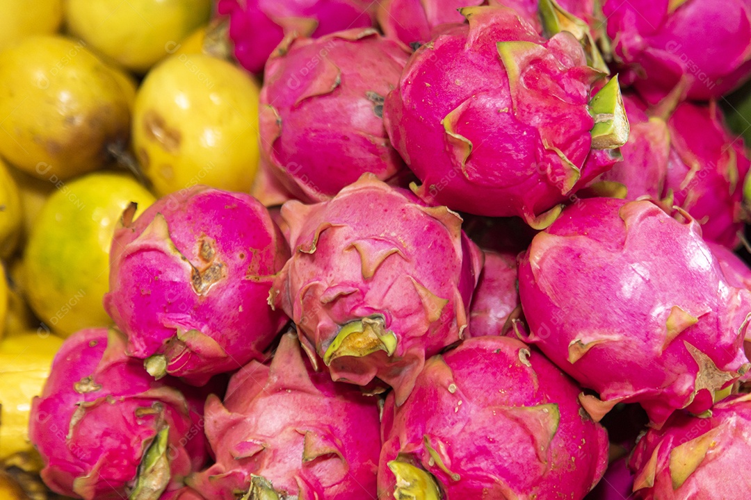 Pitaia sobre prateleira de mercado