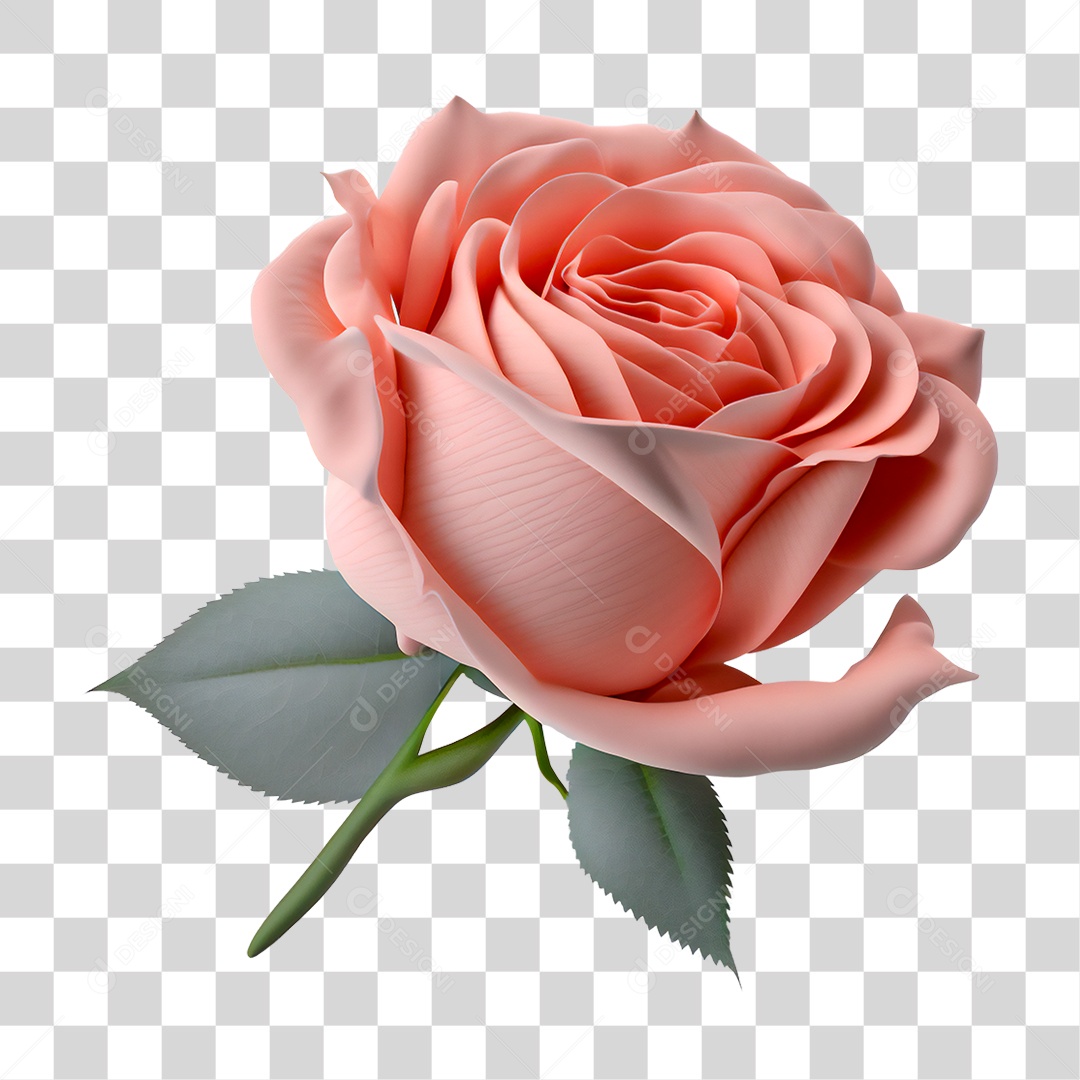 Flores Rosas Plantas PNG Transparente